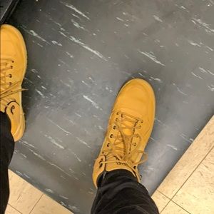 Meet your Posher, Joey